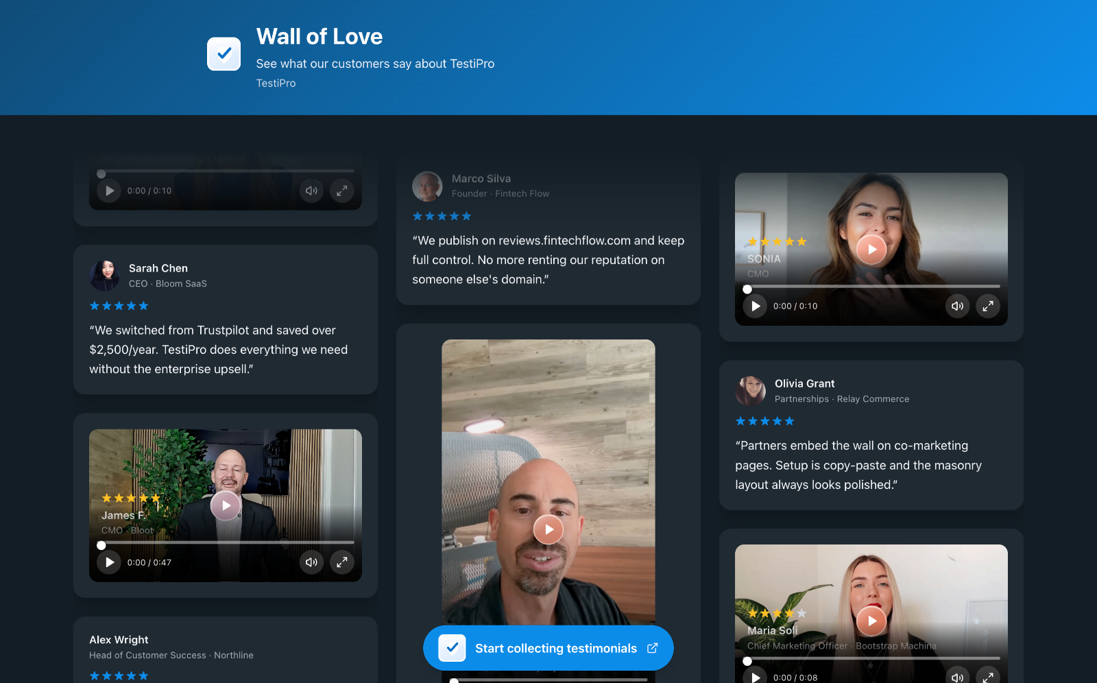 TestiPro.com screenshot 2